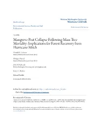 Mangrove Peat Collapse Following Mass Tree Mortality: Implications for Forest Recovery from Hurricane Mitch Donald R