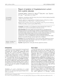 Report of Isolation of Cryptobacterium Curtum from a Pelvic Abscess Siddharth Sridhar,1 Samson S.Y