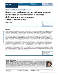Update on Pathogenesis of Primary