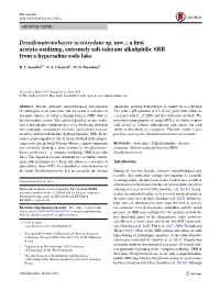 Desulfonatronobacter Acetoxydans Sp. Nov.,: a First Acetate-Oxidizing
