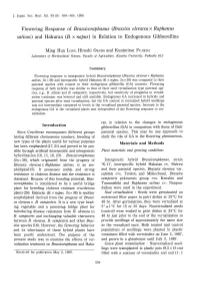 Flowering Sativus) and Response of Hakuran