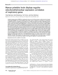 Human Primitive Brain Displays Negative Mitochondrial-Nuclear Expression Correlation of Respiratory Genes