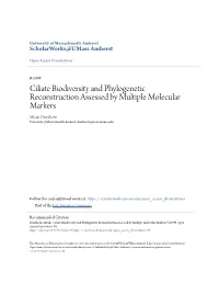 Ciliate Biodiversity and Phylogenetic Reconstruction Assessed by Multiple Molecular Markers Micah Dunthorn University of Massachusetts Amherst, Dunthorn@Nsm.Umass.Edu