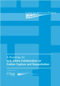 A Roadmap for U.S.-China Collaboration on Carbon Capture and Sequestration