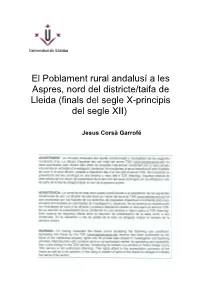 Finals Del Segle X-Principis Del Segle XII)