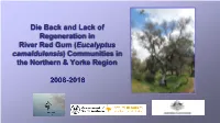 Monitoring of Die-Back in River Red Gum (Eucalyptus Camaldulensis)