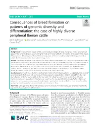 Consequences of Breed Formation on Patterns of Genomic Diversity and Differentiation: the Case of Highly Diverse Peripheral Iberian Cattle Rute R