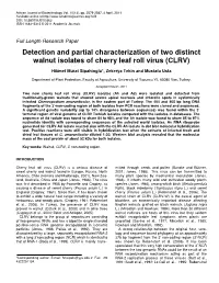 Detection and Partial Characterization of Two Distinct Walnut Isolates of Cherry Leaf Roll Virus (CLRV)