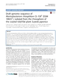 Draft Genome Sequence of Marinobacterium Rhizophilum CL