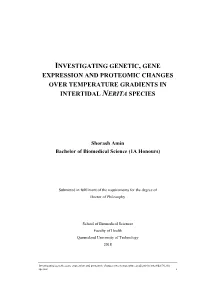 Investigating Genetic, Gene Expression and Proteomic Changes Over Temperature Gradients in Intertidal Nerita Species