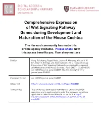 Comprehensive Expression of Wnt Signaling Pathway Genes During Development and Maturation of the Mouse Cochlea