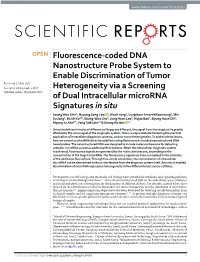 Fluorescence-Coded DNA Nanostructure Probe System To