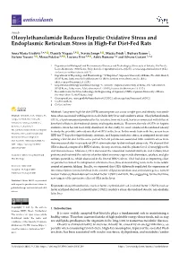 Oleoylethanolamide Reduces Hepatic Oxidative Stress and Endoplasmic Reticulum Stress in High-Fat Diet-Fed Rats