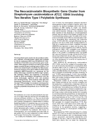 The Neocarzinostatin Biosynthetic Gene Cluster from Streptomyces Carzinostaticus ATCC 15944 Involving Two Iterative Type I Polyketide Synthases