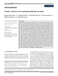 Genetic Control of Root Anatomical Plasticity in Maize