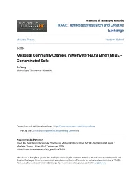 Microbial Community Changes in Methyl Tert-Butyl Ether (MTBE)- Contaminated Soils