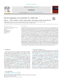 Soil Microaggregates Store Phytoliths in a Sandy Loam