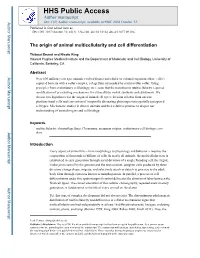The Origin of Animal Multicellularity and Cell Differentiation