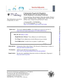 TLR-Mediated Activation Pathways Calcineurin Negatively Regulates