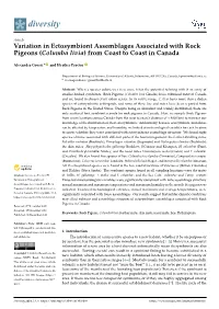 Variation in Ectosymbiont Assemblages Associated with Rock Pigeons (Columba Livia) from Coast to Coast in Canada