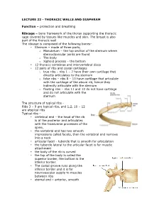 Lecture 22 - Thoracic Walls and Diaphram