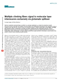 Multiple Climbing Fibers Signal to Molecular Layer Interneurons