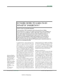 Is There More to Gaba Than Synaptic Inhibition?