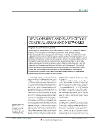 Development and Plasticity of Cortical Areas and Networks