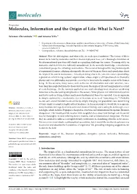 Molecules, Information and the Origin of Life: What Is Next?