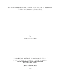 University of Florida Thesis Or Dissertation Formatting