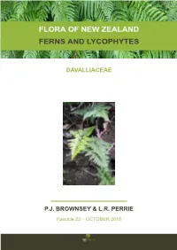 Flora of New Zealand Ferns and Lycophytes Davalliaceae Pj