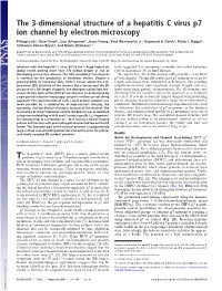 The 3-Dimensional Structure of a Hepatitis C Virus P7 Ion Channel by Electron Microscopy