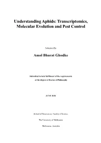 Transcriptomics, Molecular Evolution and Pest Control