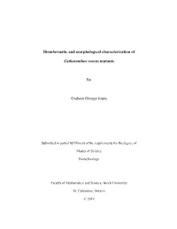 Bioinformatic and Morphological Characterization of Catharanthus