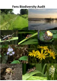 Fens Biodiversity Audit