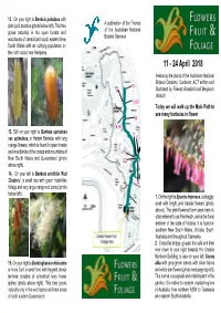 FFF 11 Apr 18