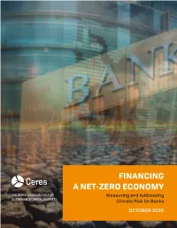 Financing a Net-Zero Economy