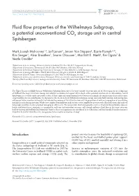 Fluid Flow Properties of the Wilhelmøya Subgroup, a Potential Unconventional CO2 Storage Unit in Central Spitsbergen
