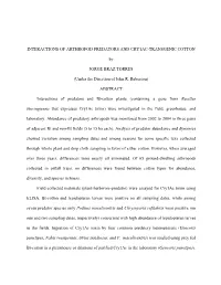 Interactions of Arthropod Predators and Cry1ac-Transgenic Cotton