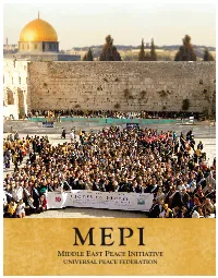 Introducing MEPI