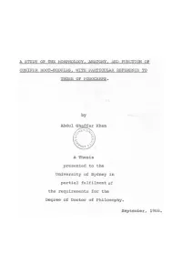 A Study of the Morphology, Anatomy, and Function Of