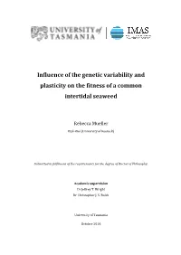 Influence of the Genetic Variability and Plasticity on the Fitness of a Common Intertidal Seaweed
