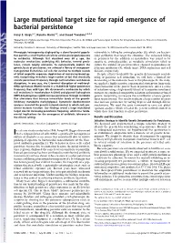Large Mutational Target Size for Rapid Emergence of Bacterial Persistence