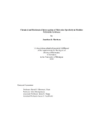 Mortison 1.Pdf