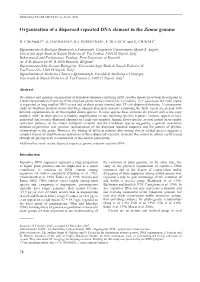 Organization of a Dispersed Repeated DNA Element in the Zamia Genome