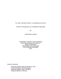 The Type II Secretion System in Acinetobacter Baumannii: Its Role