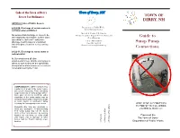 Derry Guide to Sump Pump Connections