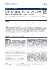 Intron-Based Single Transcript Unit CRISPR Systems for Plant Genome