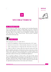 Lesson 20. Mycobacterium
