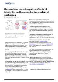 Researchers Reveal Negative Effects of Tributyltin on the Reproductive System of Seahorses 21 December 2020, by Li Yuan